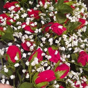 Boutonnieres, fake red felt with fake green leaves